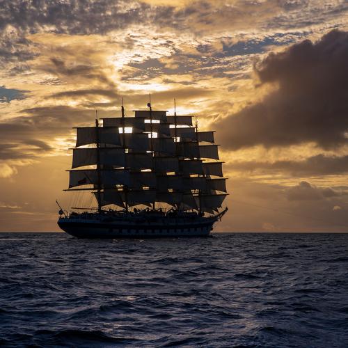 Royal Clipper