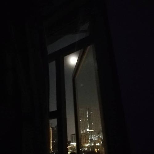 Hello Moonlight