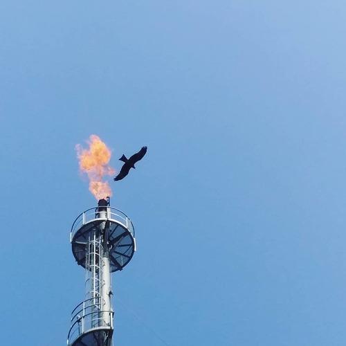 Burning down the sky