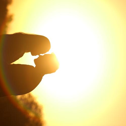 Photo #2969858