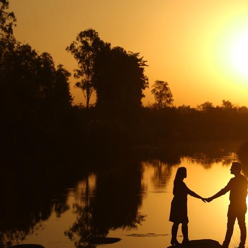 Photo #2969860