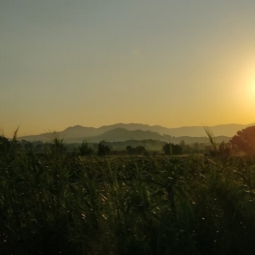 Photo #2970203