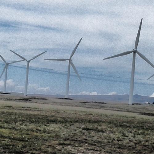 Photo #2972354