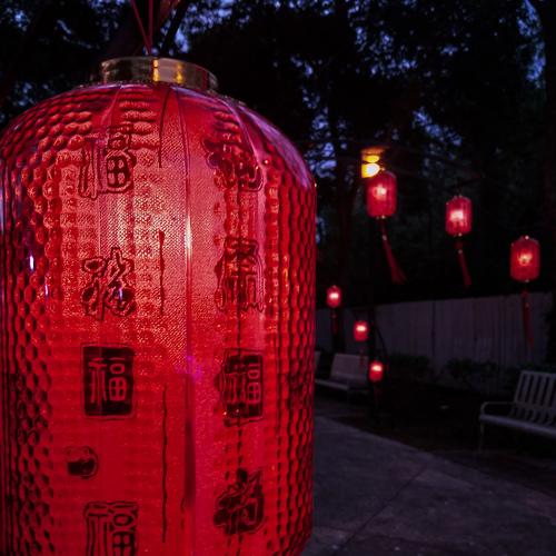 Chinese New Year!✨