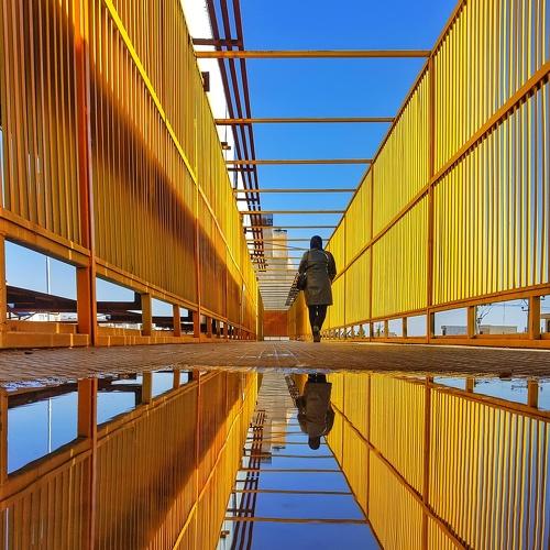 Reflection