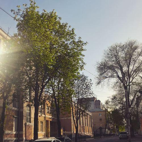 Атмосфера городских улиц