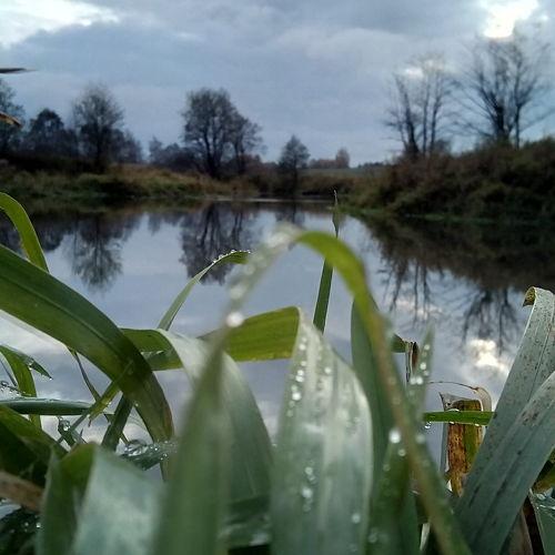Photo #2974251