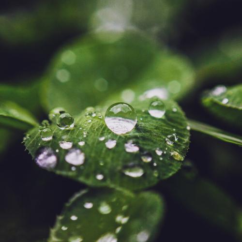 Waterdrop