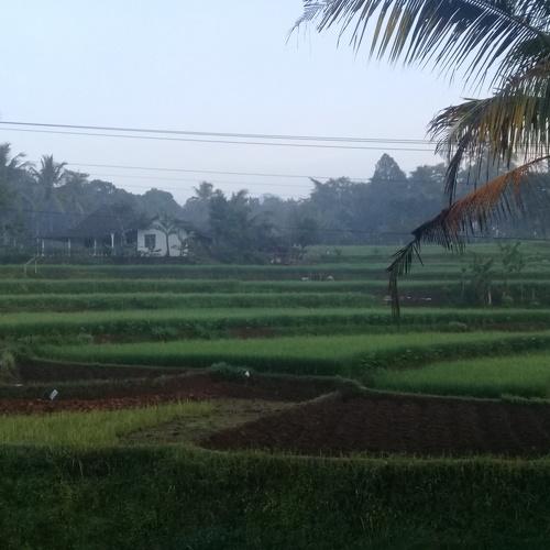 Beuty morning