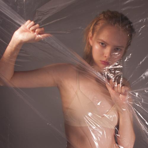 Photo #2975666