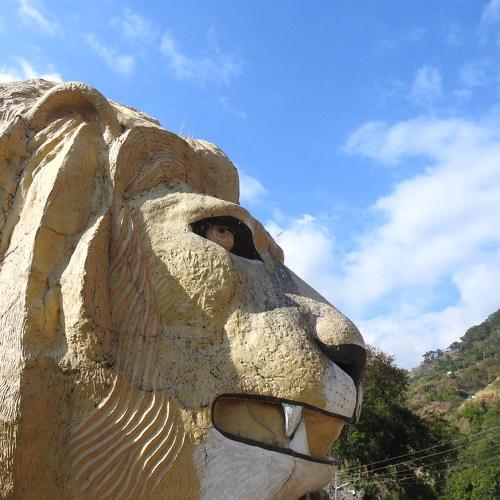 Lion\'s Head