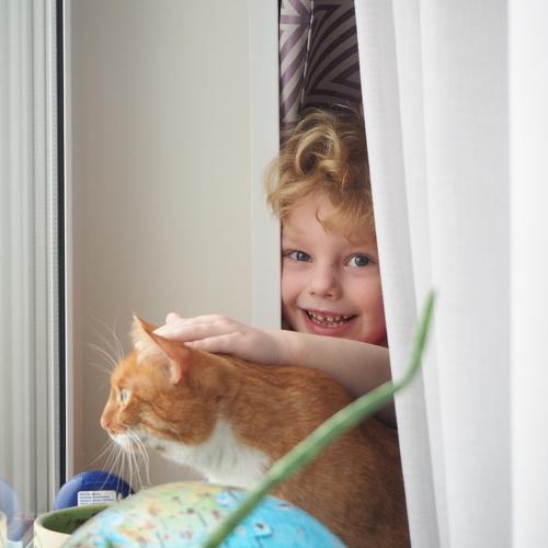 Photo #2975930