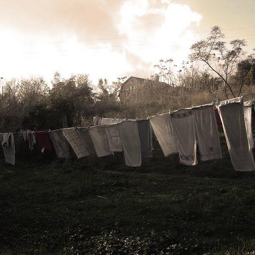 Photo #2977227