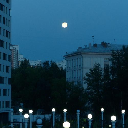 a lot of moon