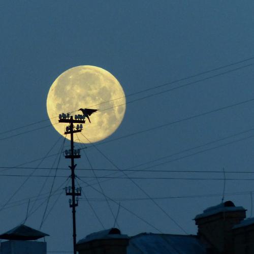 The moon is tangled in the wires