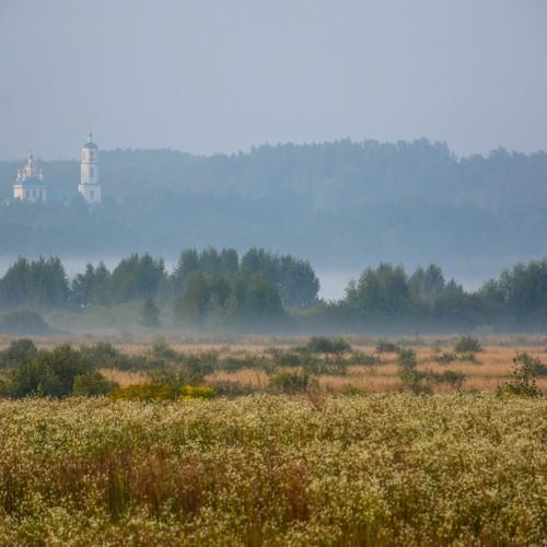 Русское поле