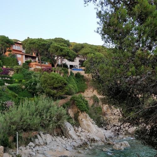 Photo #2978444