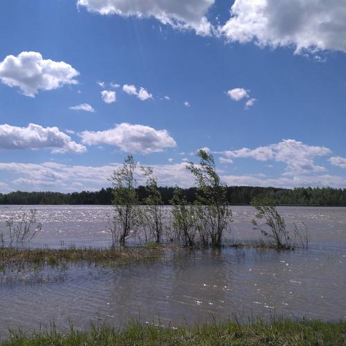 Весенняя вода