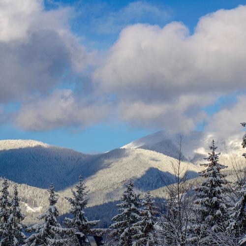 Winter fairytale