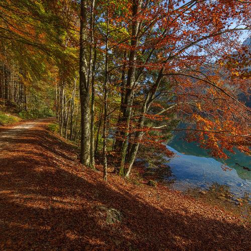 Photo #2979451