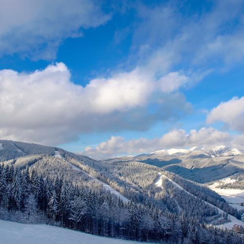 Winter fairytale
