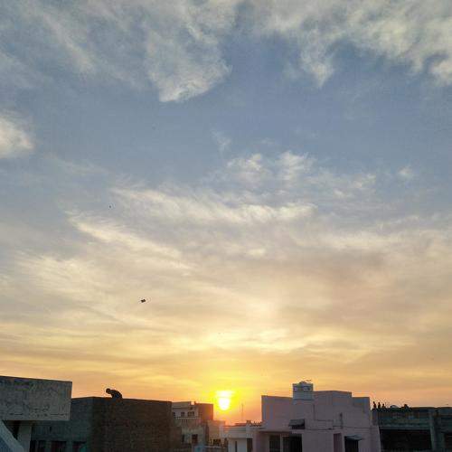 City vibesun