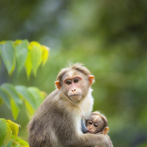 Love means mother