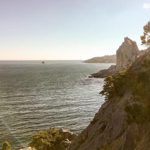 Photo #2981862