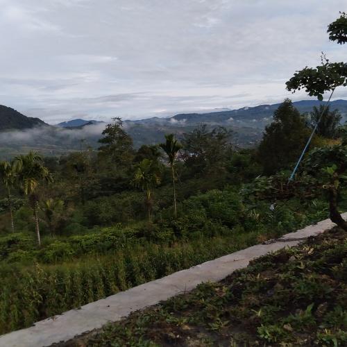 Sindeka Morning