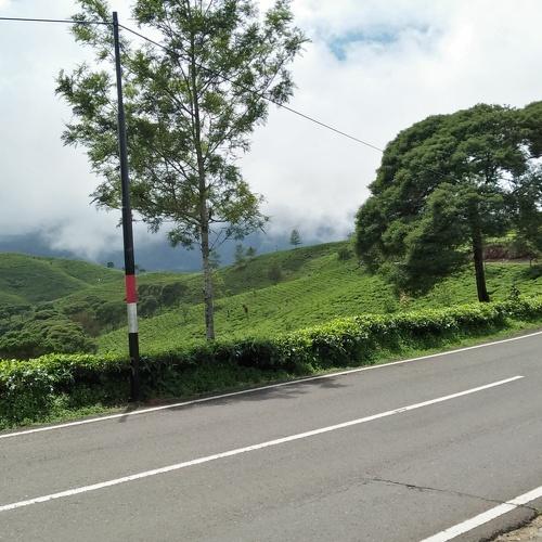 Street Cukul Estate
