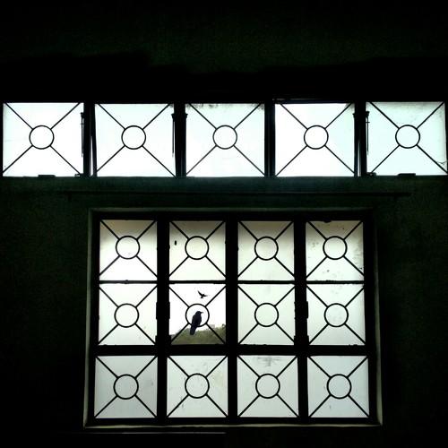 Window symmetry