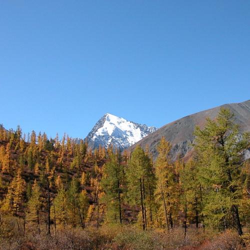 Горный Алтай