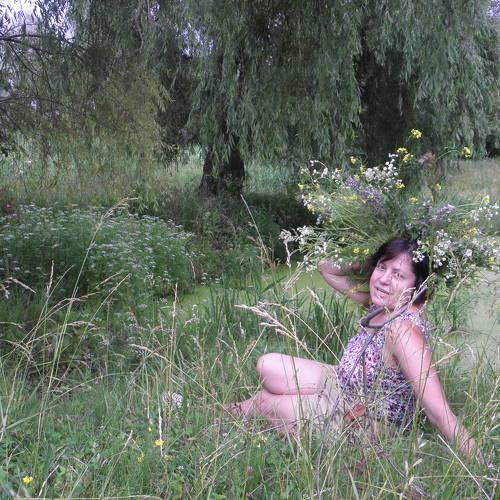 Photo #2985403