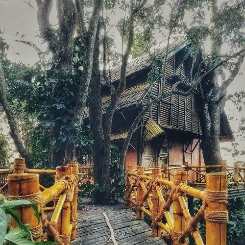 Seek adventures