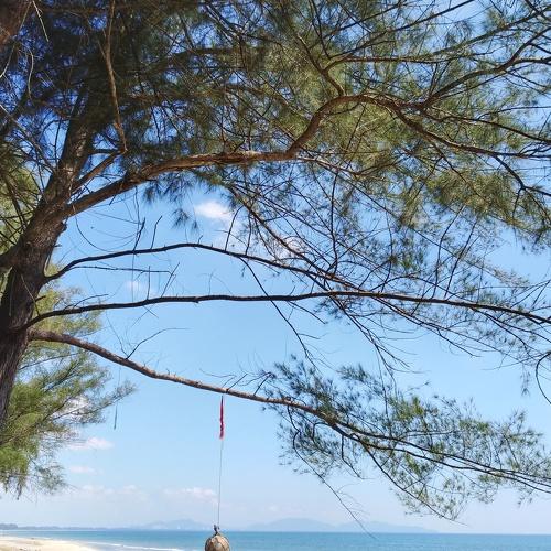 beautiful beach