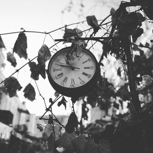 Photo #2986071