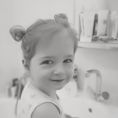Photo #2986081