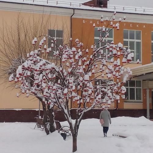 ЗИМА
