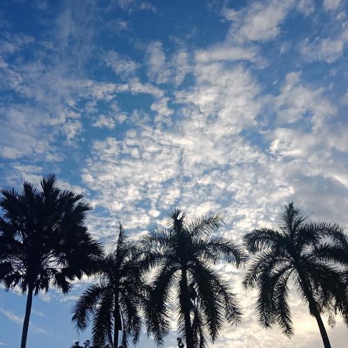 Blue Sky