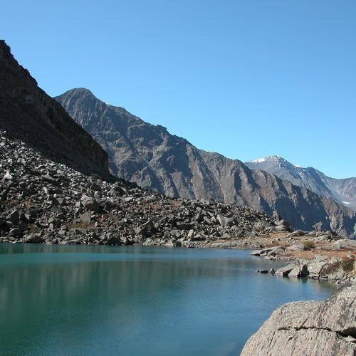 Photo #2987084