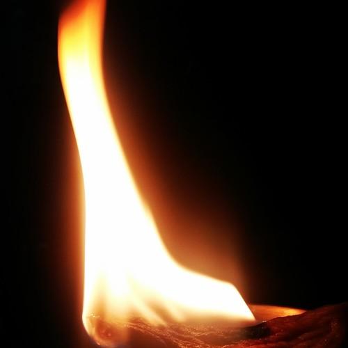 Photo #2987239
