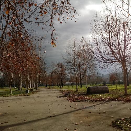 Park