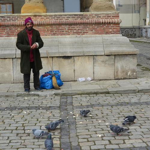 Senior feeding Pigeons