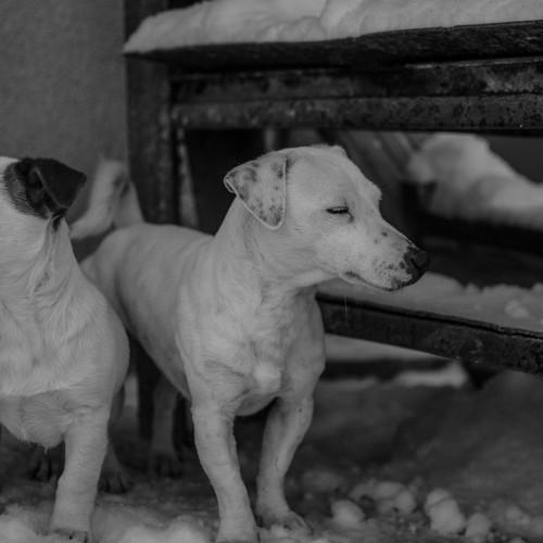 Mother and son