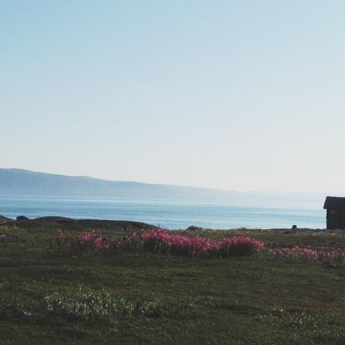 Photo #2990232