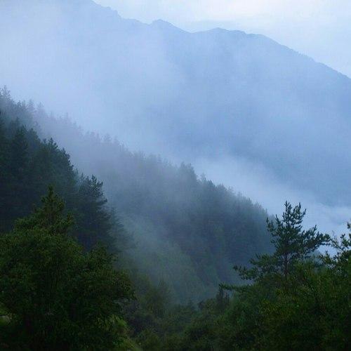 Photo #2990261