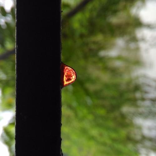 Photo #2990743