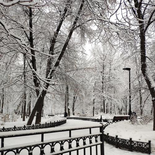 Зимняя сказка