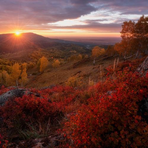 Краски осень