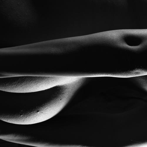 HUMAN CURVES